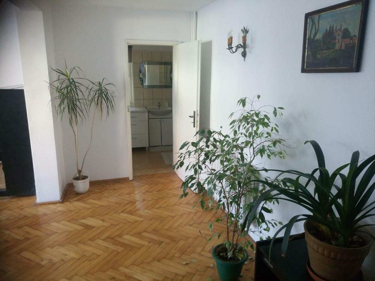 Apartament Turystyczny W Stepnicy Appartement Stepnica Buitenkant foto